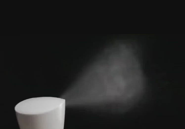 Ashanti Curls- Continuous Mist Spray Bottle- Colour Clear & White