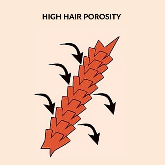 High Hair Porosity 