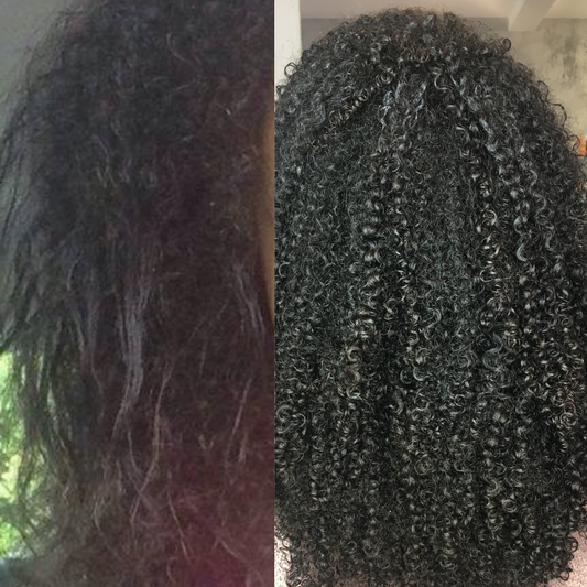 Damaged Curly Hair | Before & After | Ashanti Curls